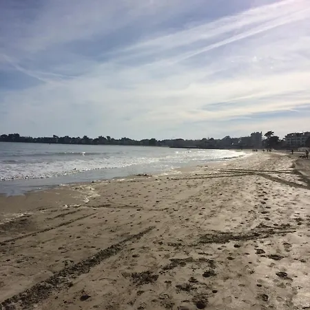 Dans Les Pins A 2 Pas De La 勒宝利古恩
