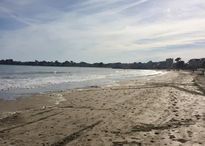 Dans Les Pins A 2 Pas De La לה פוליגן