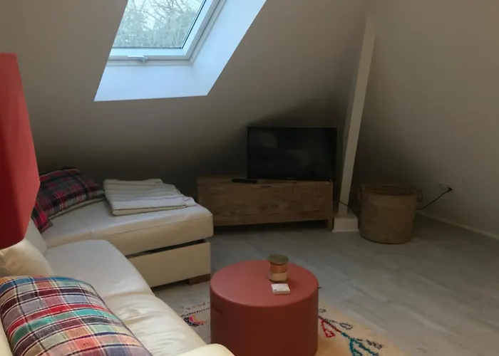 Dans Les Pins A 2 Pas De La *